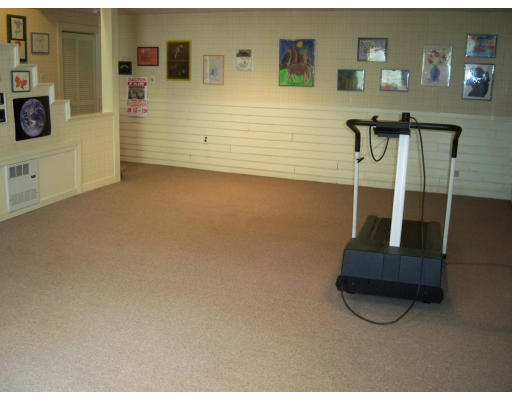 166 Mossman Road Sudbury, MA 01776 - Photo 17 of 18 Gallery Image 17