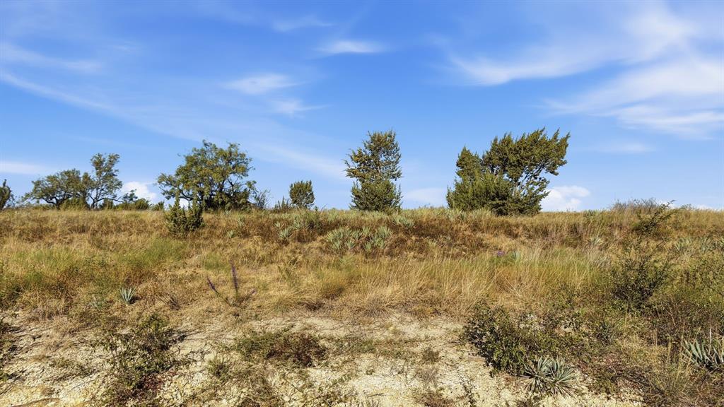 Lot 46 Twisted Creek Ranch Gustine, TX 76455 - Photo 3 of 25 Gallery Image 3