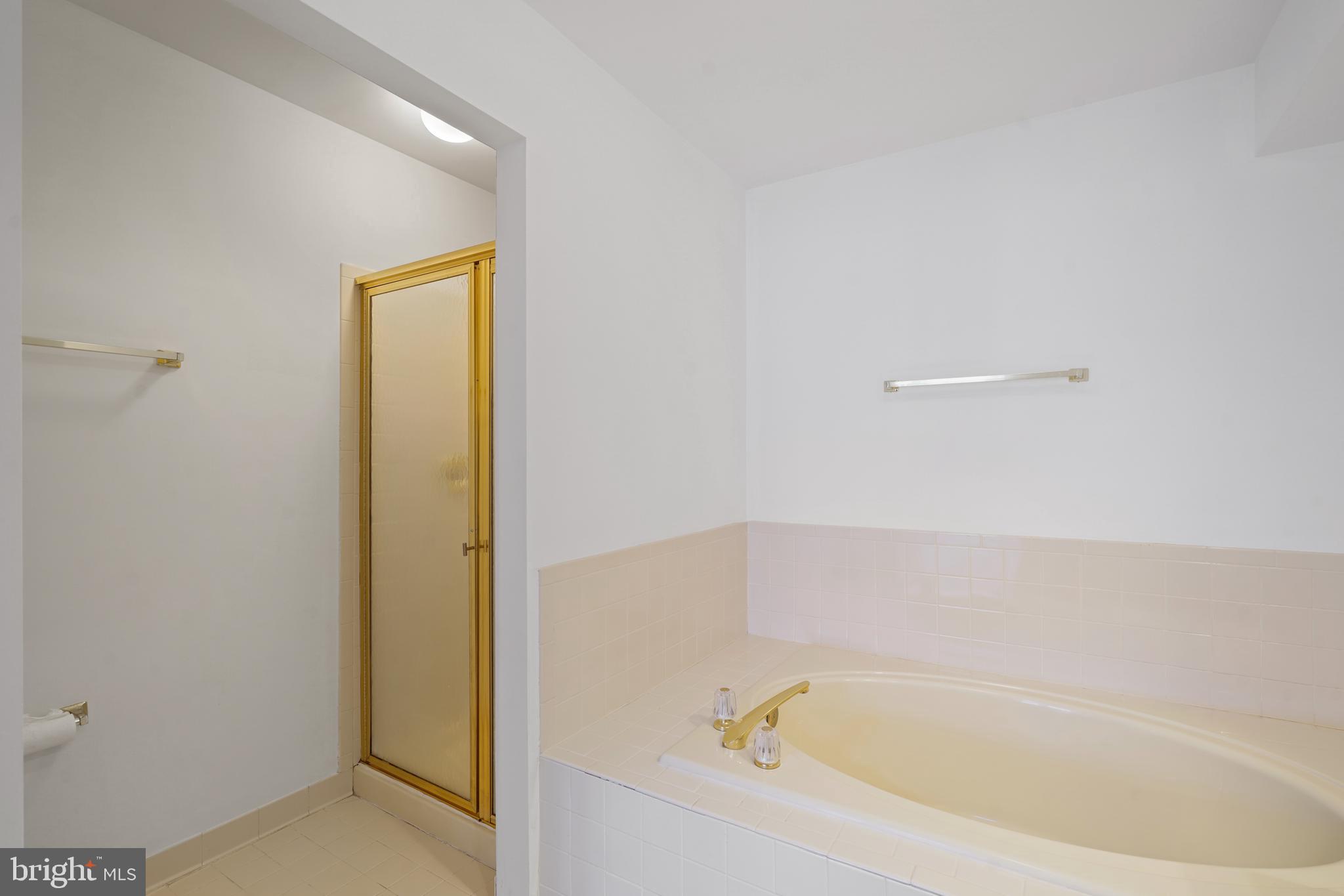 3800 Inverness Road Fairfax, VA 22033 - Photo 22 of 43 Large Soaking Tub & Shower