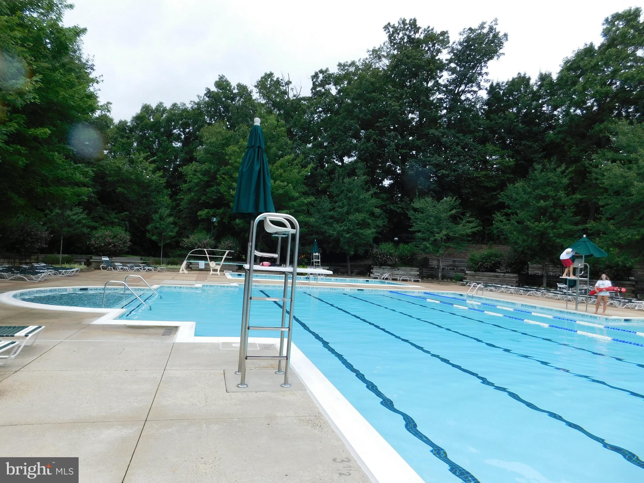 3800 Inverness Road Fairfax, VA 22033 - Photo 36 of 43 Huge Lap Pool
