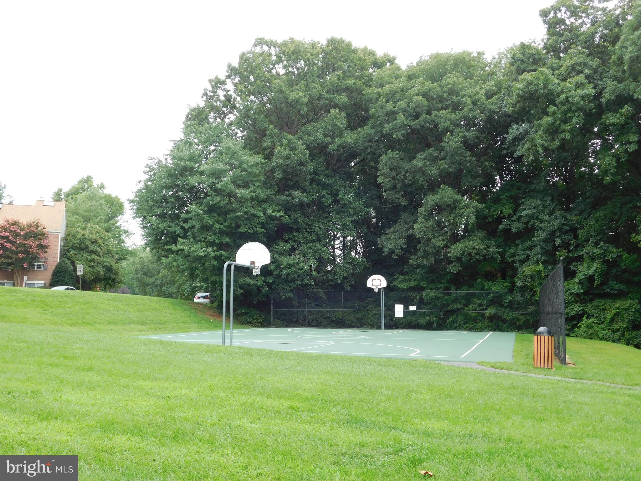 3800 Inverness Road Fairfax, VA 22033 - Photo 41 of 43 Basketball Quarts