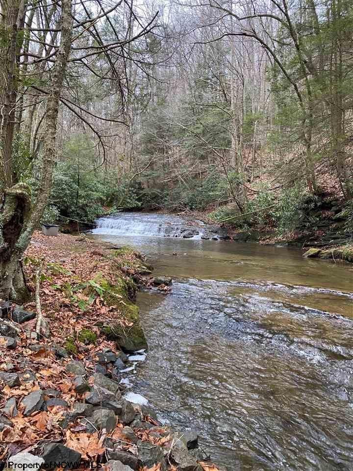 773 Gaines Road Rock Cave, WV 26234 - Photo 27 of 27 Gallery Image 27