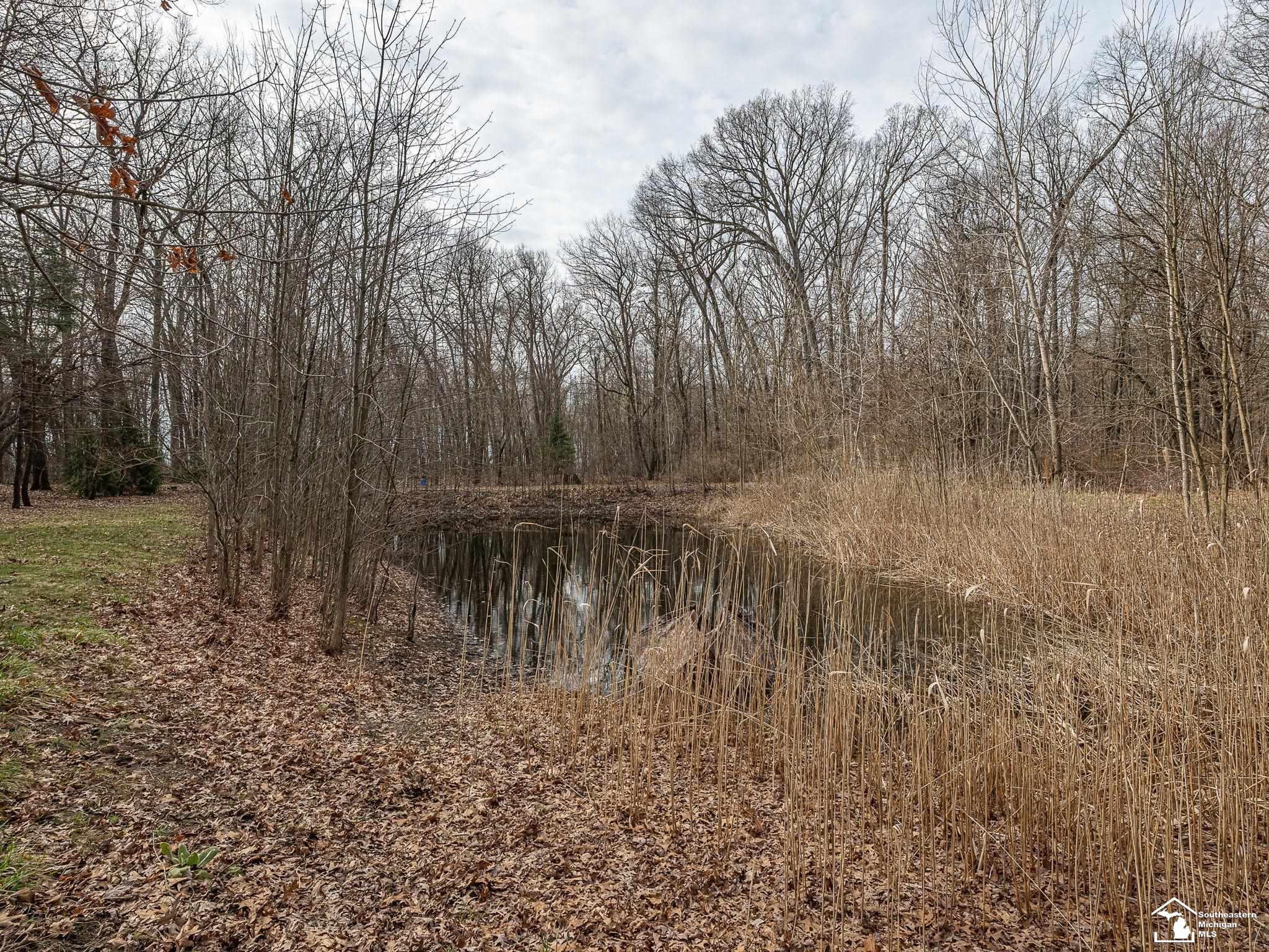 20599 Ida Center Road Petersburg, MI 49270 - Photo 36 of 51