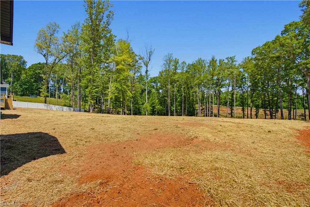 1349 Simpson Road Stokesdale, NC 27357 - Photo 28 of 31