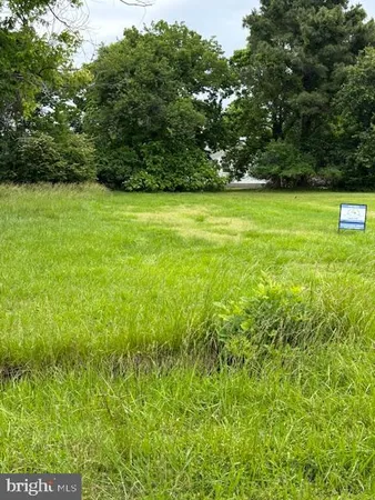 a view of a green yard