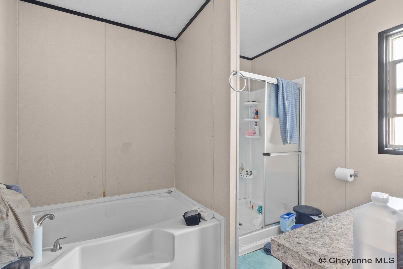 300 East Prosser Road, Unit 43 Cheyenne, WY 82007 - Photo 11 of 17 Gallery Image 11