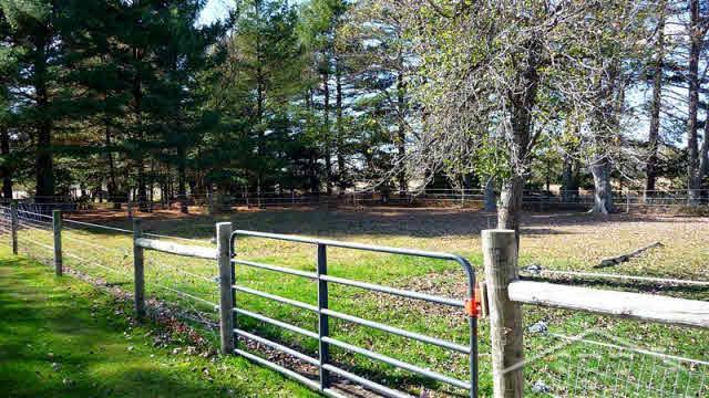 1160 South Iva Road Merrill, MI 48637 - Photo 29 of 33 20091346-29.JPG