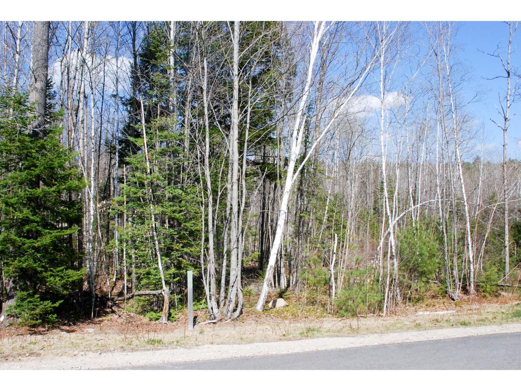 54 Grandview Road Conway, NH 03818 - Photo 1 of 3 Gallery Image 1