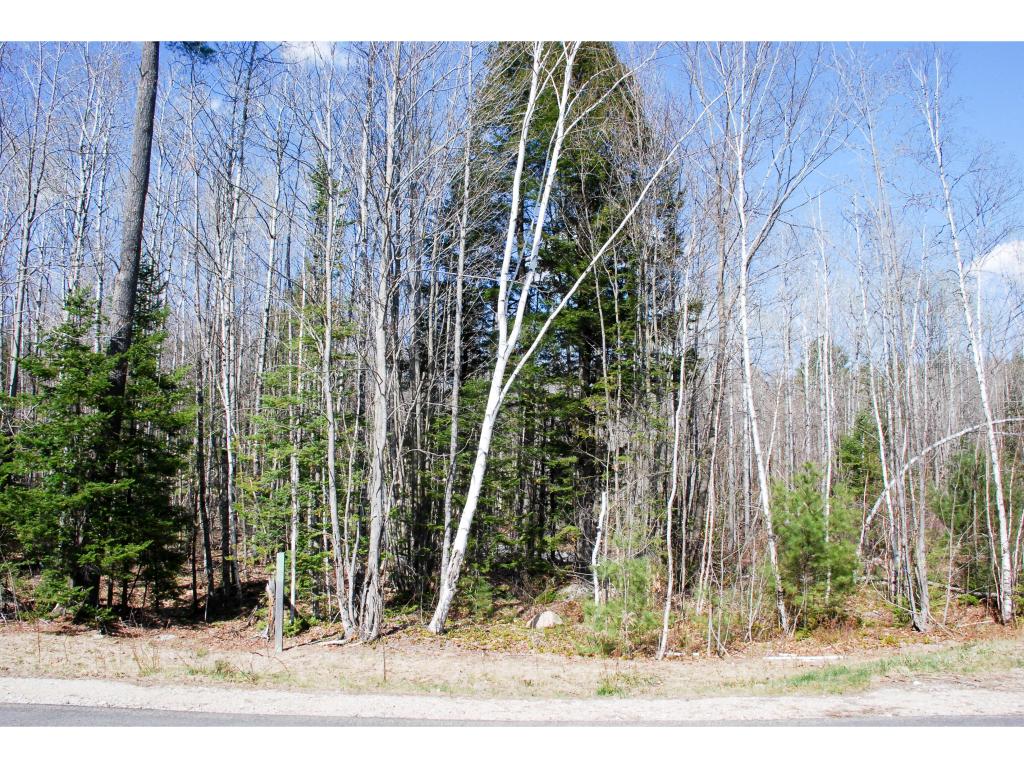54 Grandview Road Conway, NH 03818 - Photo 2 of 3 Gallery Image 2
