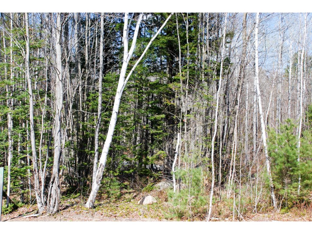 54 Grandview Road Conway, NH 03818 - Photo 3 of 3 Gallery Image 3