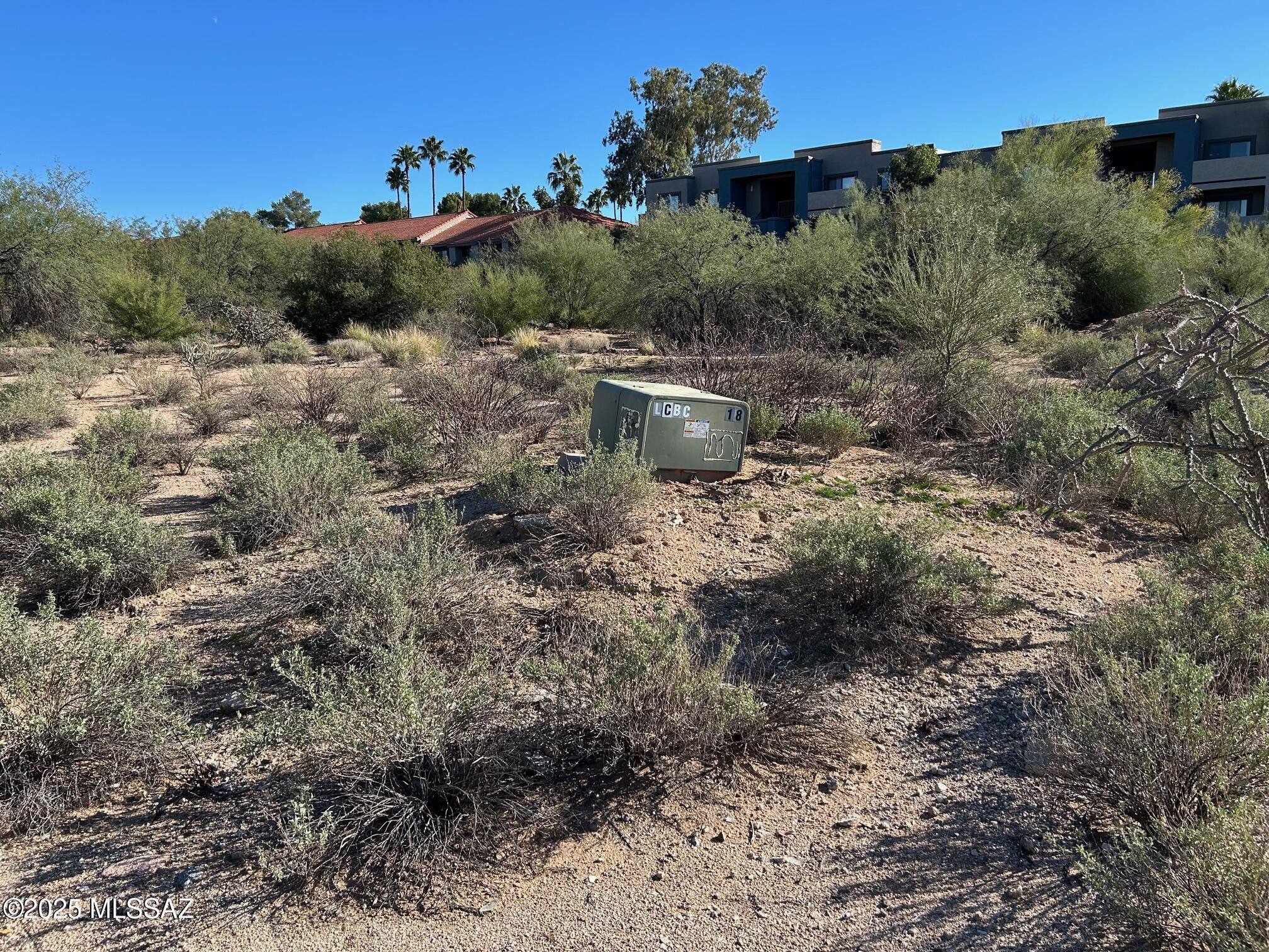North Oracle Road, Unit 22516 Tucson, AZ 85704 - Photo 6 of 10 a view of a forest with trees