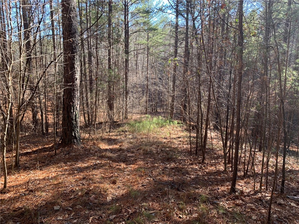 632 Pine Harbor Way Salem, SC 29676 - Photo 2 of 11