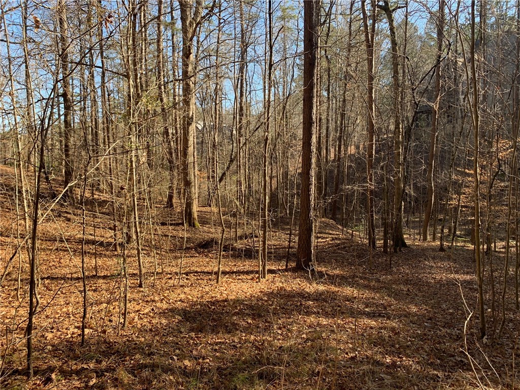 632 Pine Harbor Way Salem, SC 29676 - Photo 3 of 11