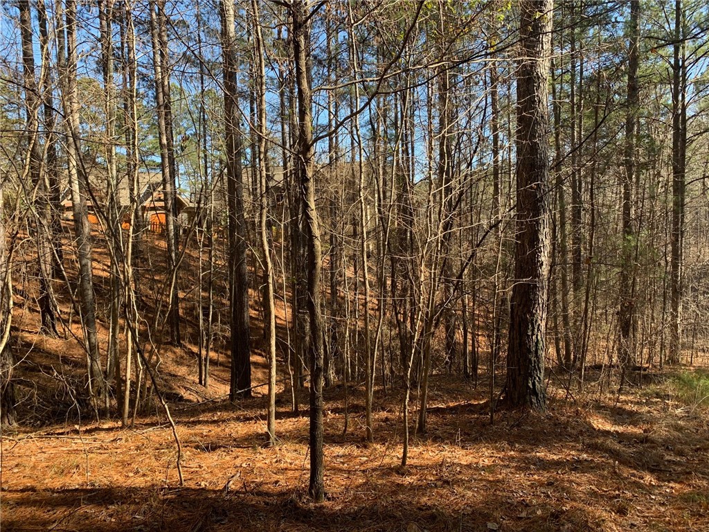 632 Pine Harbor Way Salem, SC 29676 - Photo 4 of 11