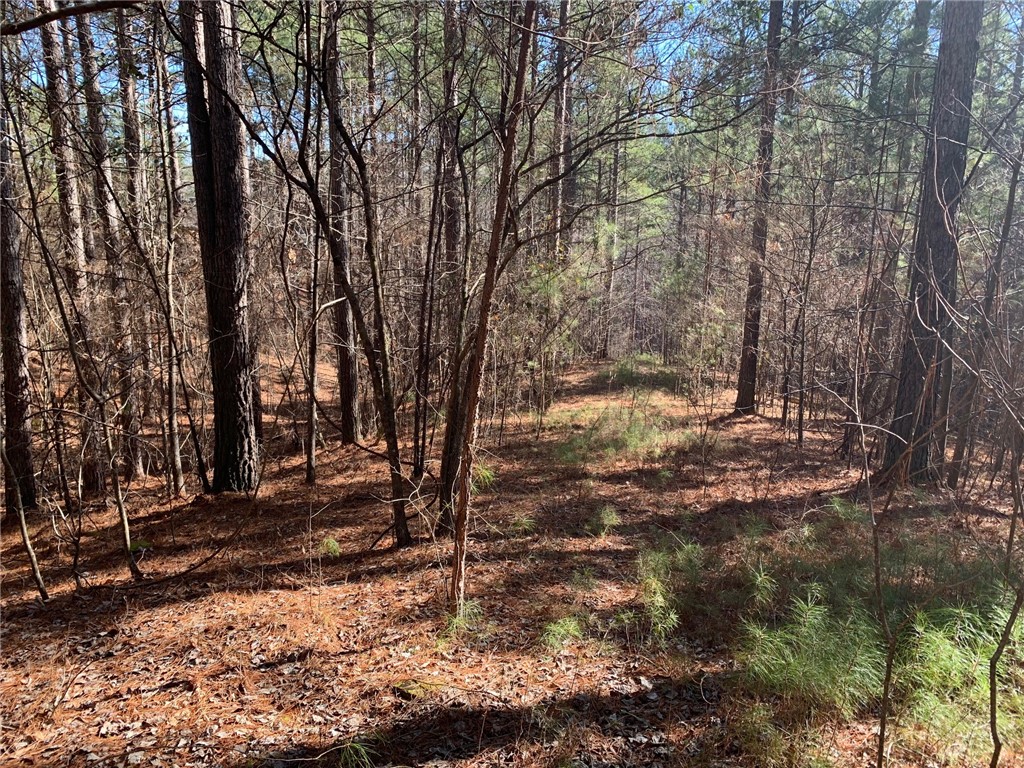 632 Pine Harbor Way Salem, SC 29676 - Photo 5 of 11