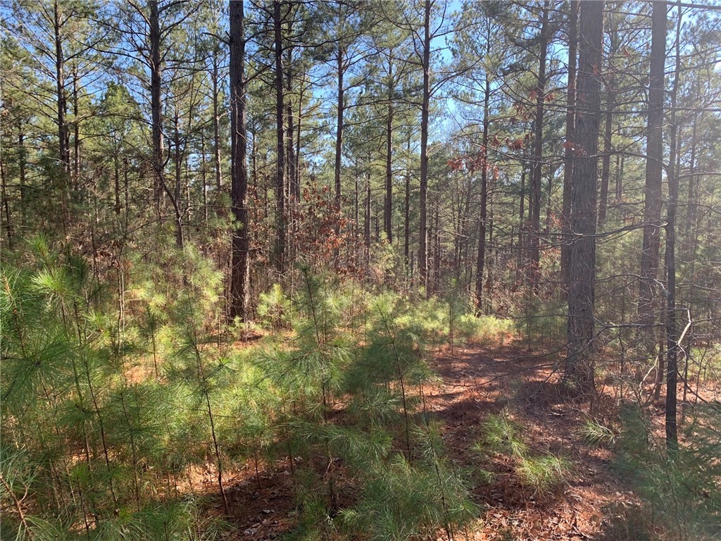 632 Pine Harbor Way Salem, SC 29676 - Photo 6 of 11