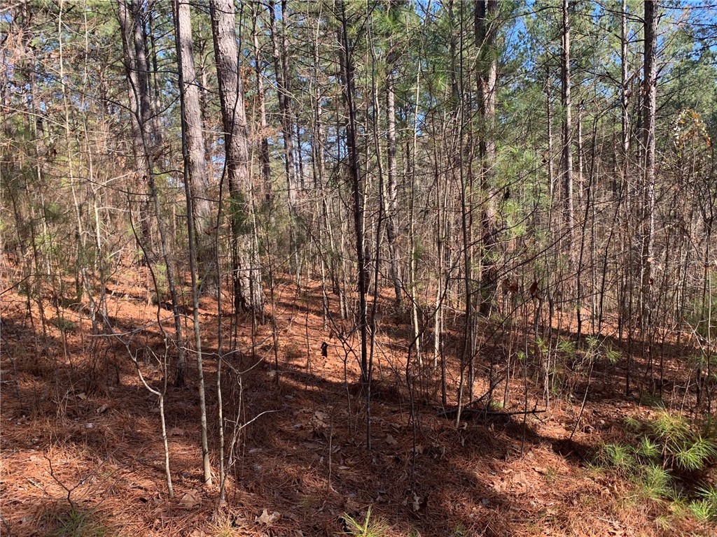 632 Pine Harbor Way Salem, SC 29676 - Photo 7 of 11