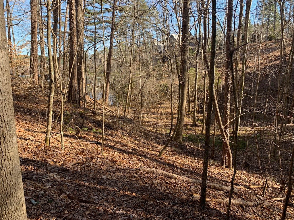 632 Pine Harbor Way Salem, SC 29676 - Photo 9 of 11