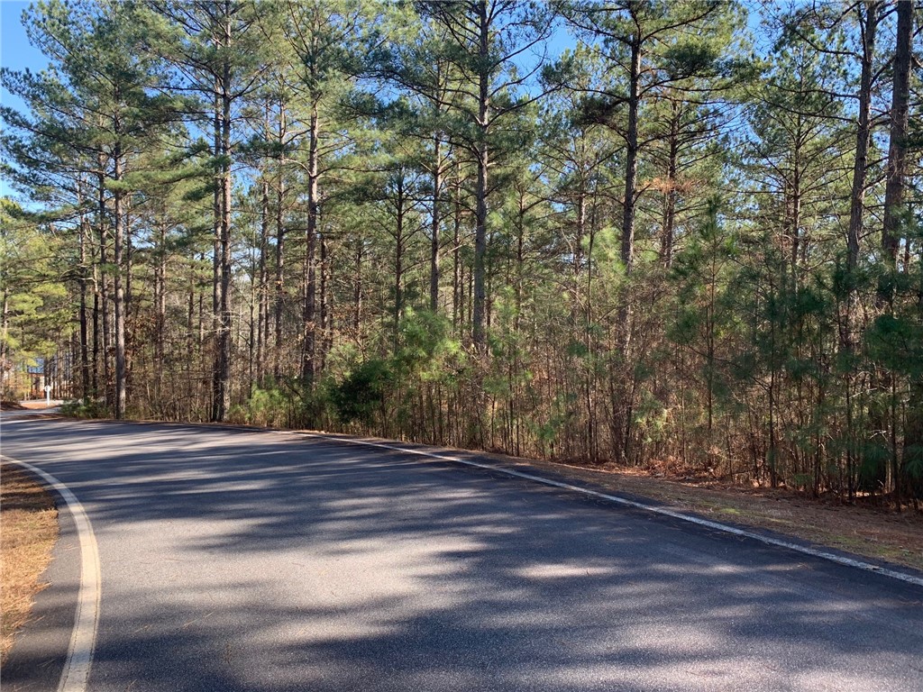 632 Pine Harbor Way Salem, SC 29676 - Photo 10 of 11