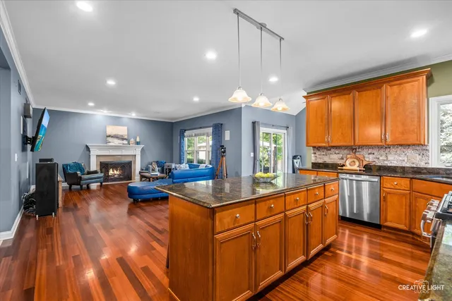 $585,000 | 25216 Round Barn Road, Plainfield, IL 60585