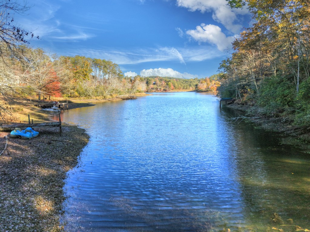 367 Beaver Cove Road Turtletown, TN 37391 - Photo 2 of 59