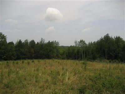 1111 Puckett Road Lawrenceburg, KY 40342 - Photo 23 of 32 Photo 23