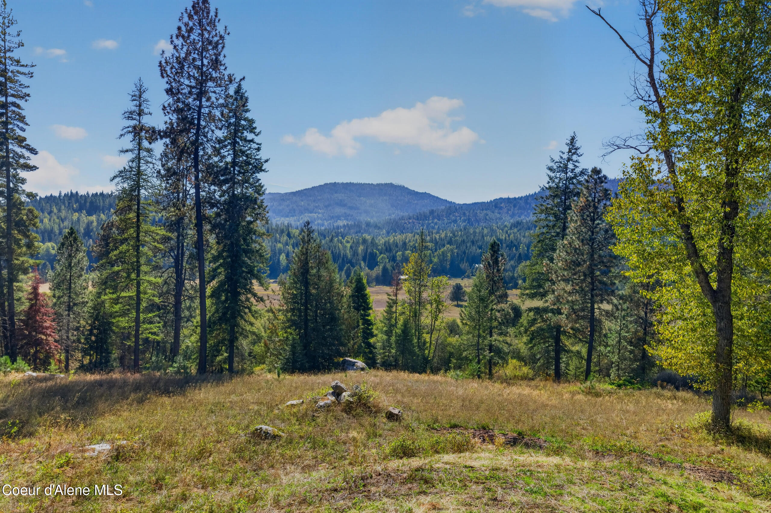 5101 North Riley Crk Road Sandpoint, ID 83864 - Photo 53 of 53 1A8A1716