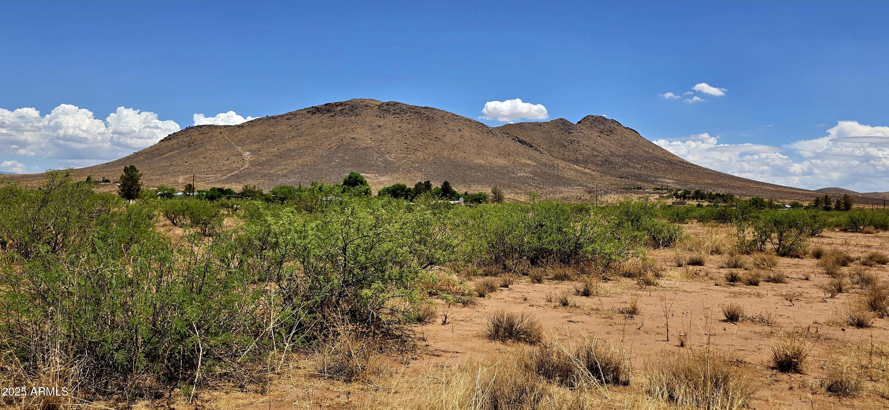 a view of a dry yard with lots of bushes