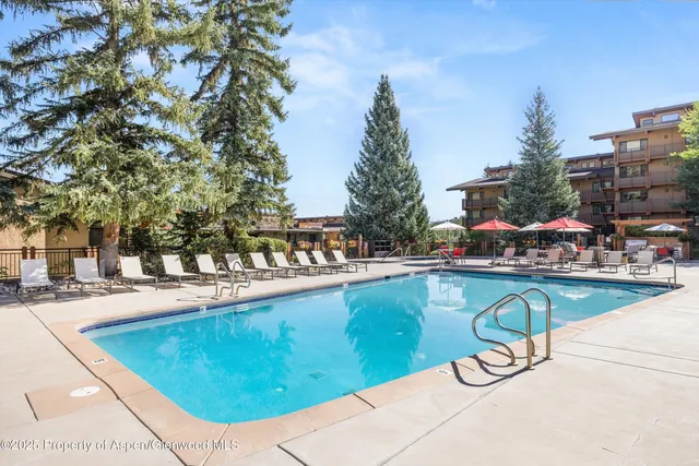 a view of a swimming pool with outdoor seating and plants