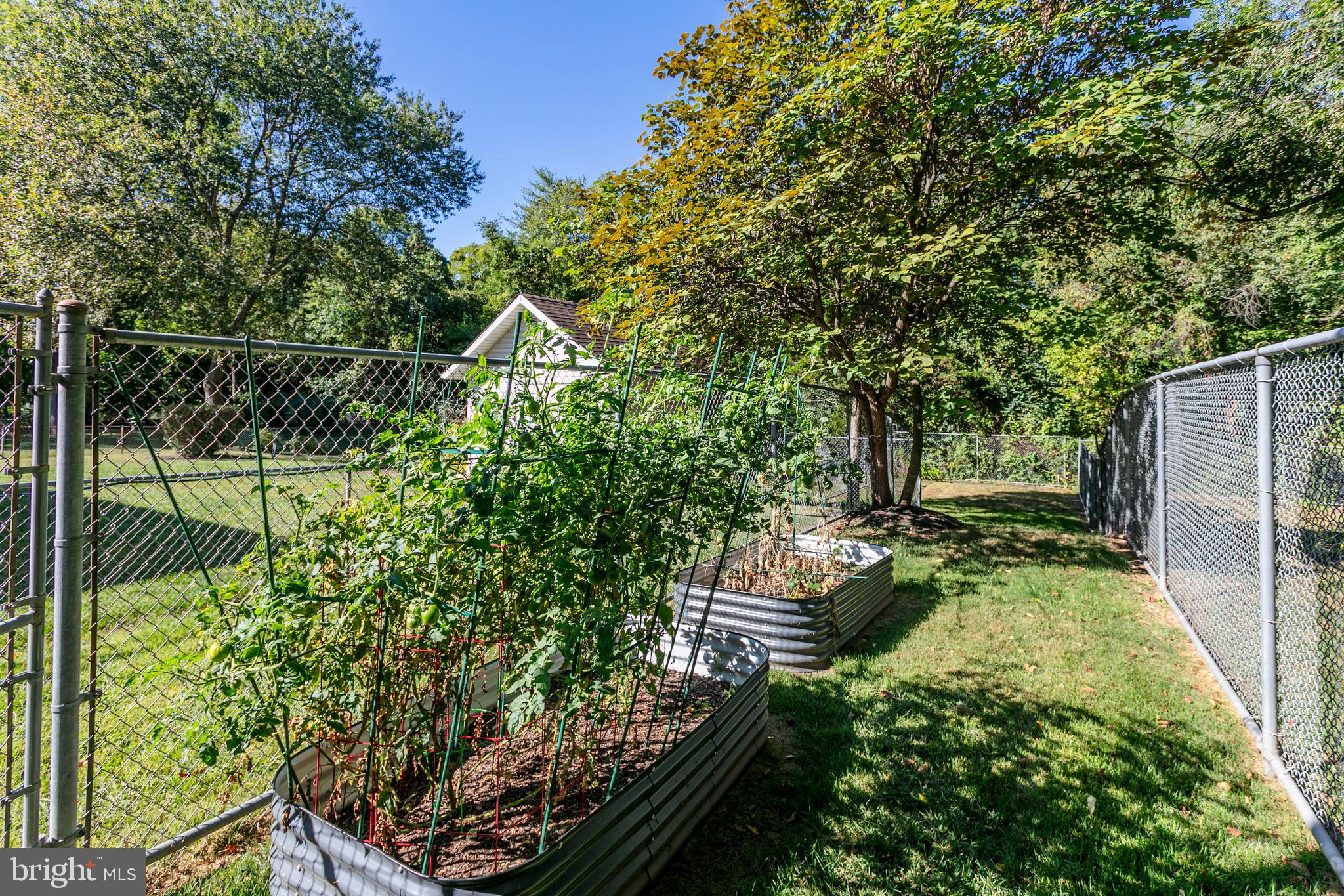 905 West Poplar Road Sterling, VA 20164 - Photo 7 of 8