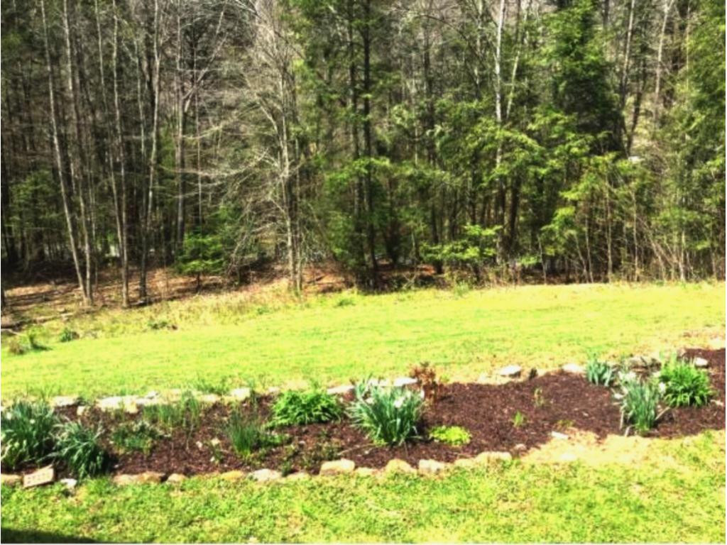 1700 Hubbard Springs Road Jonesville, VA 24263 - Photo 4 of 22 Photo 4