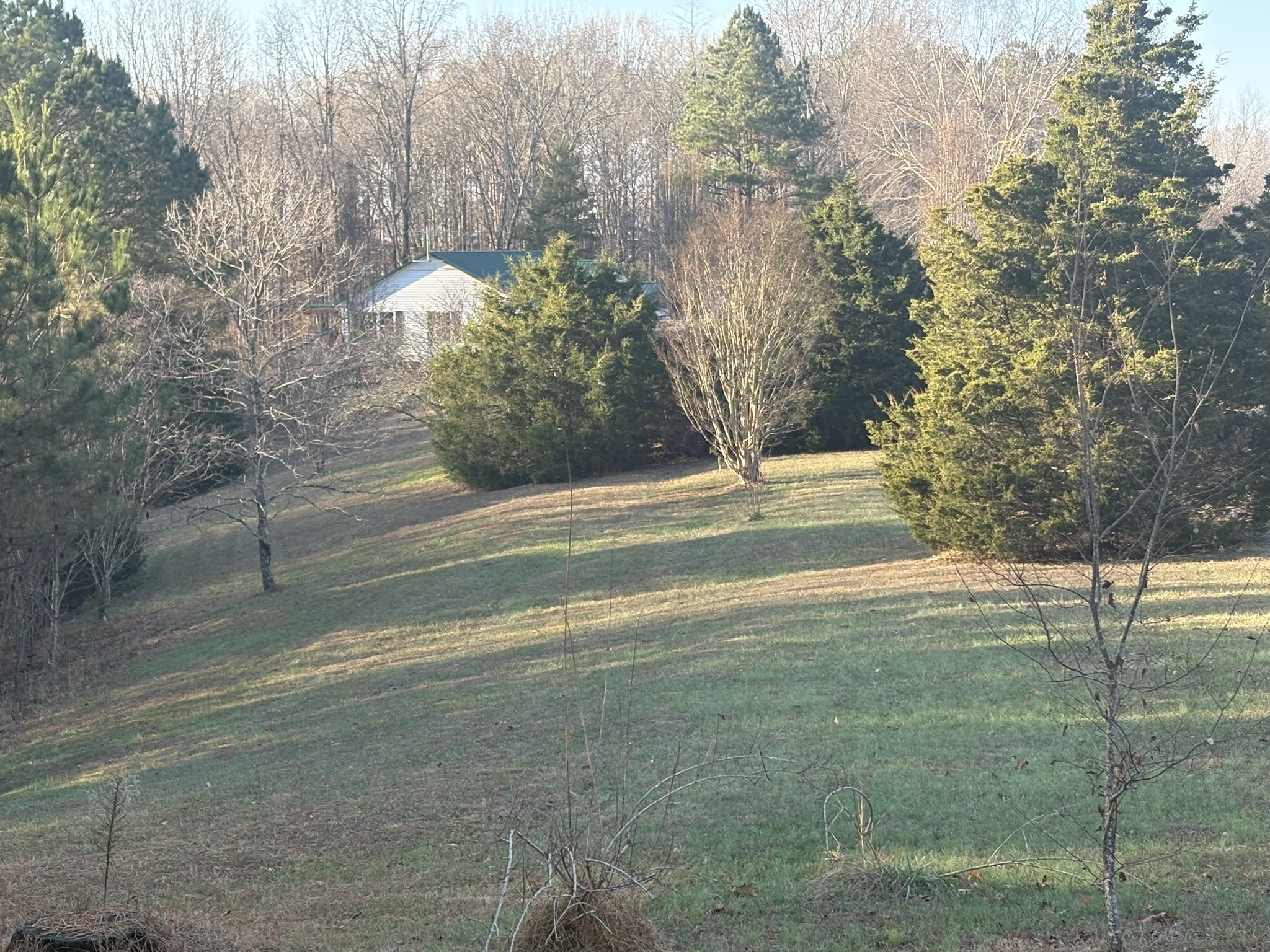 149 Annette Lane Leoma, TN 38468 - Photo 26 of 59