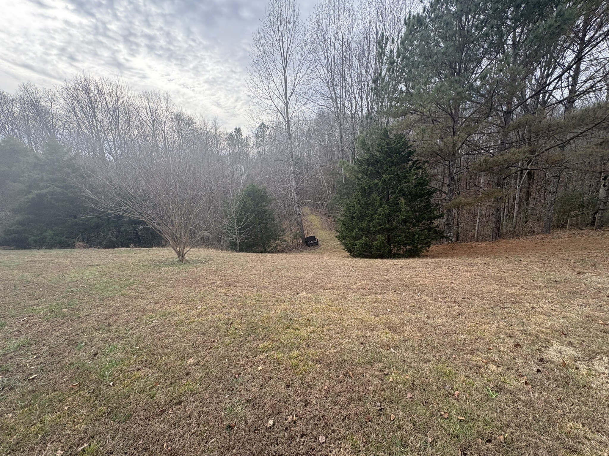 149 Annette Lane Leoma, TN 38468 - Photo 29 of 59