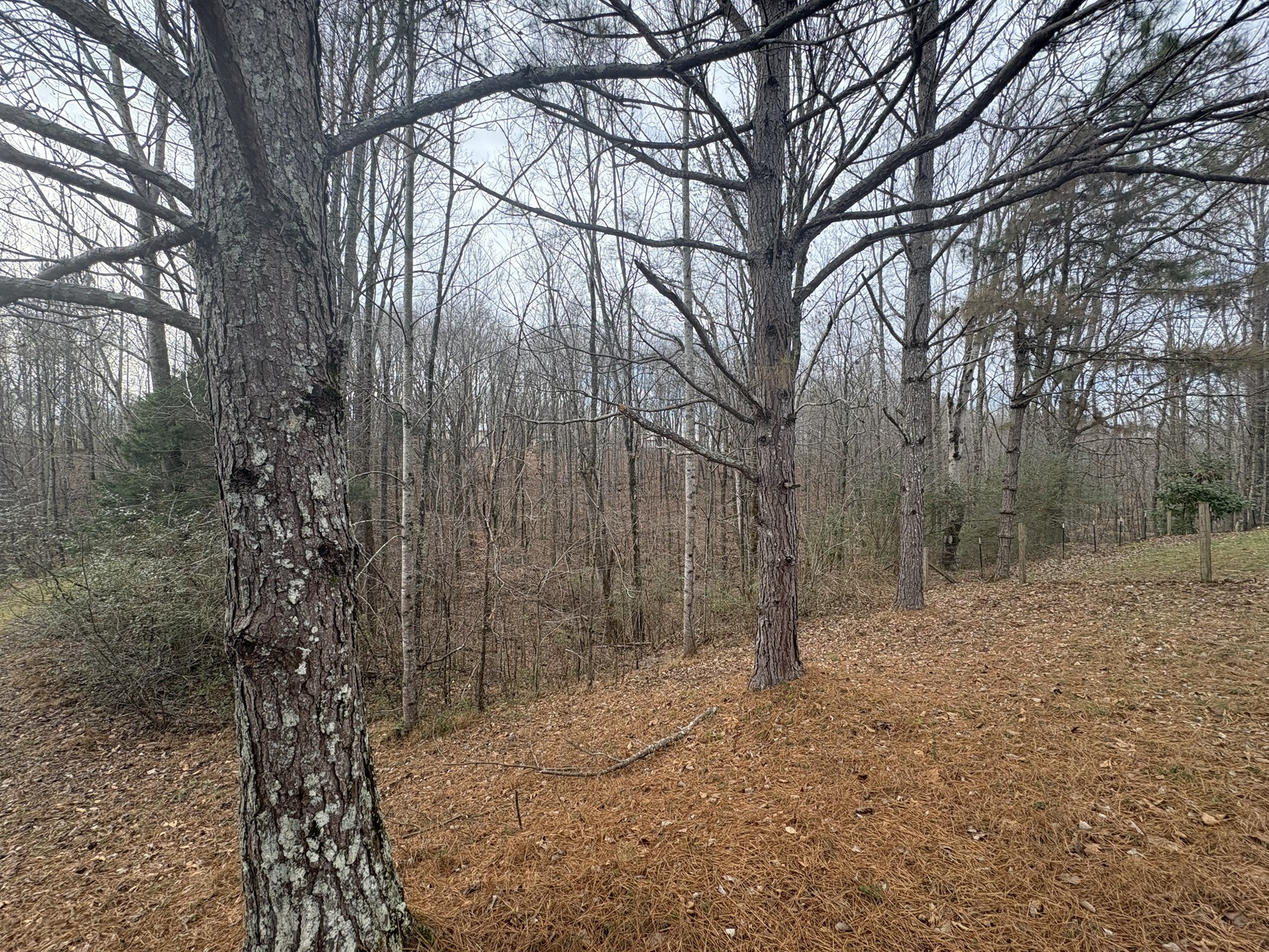 149 Annette Lane Leoma, TN 38468 - Photo 30 of 59