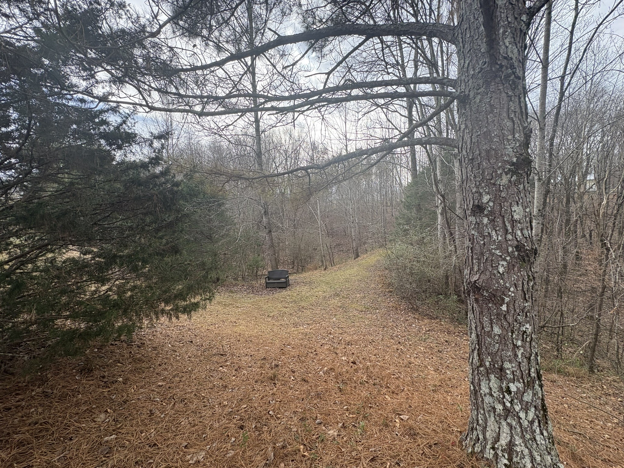 149 Annette Lane Leoma, TN 38468 - Photo 31 of 59