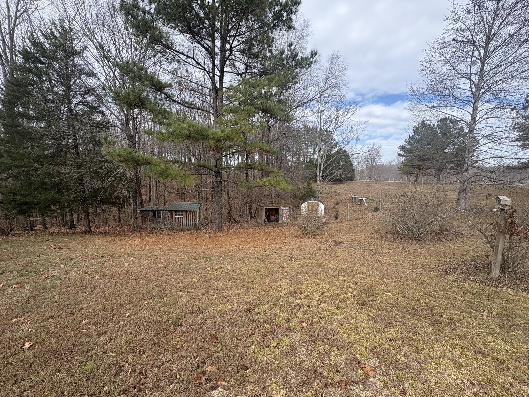 149 Annette Lane Leoma, TN 38468 - Photo 32 of 59