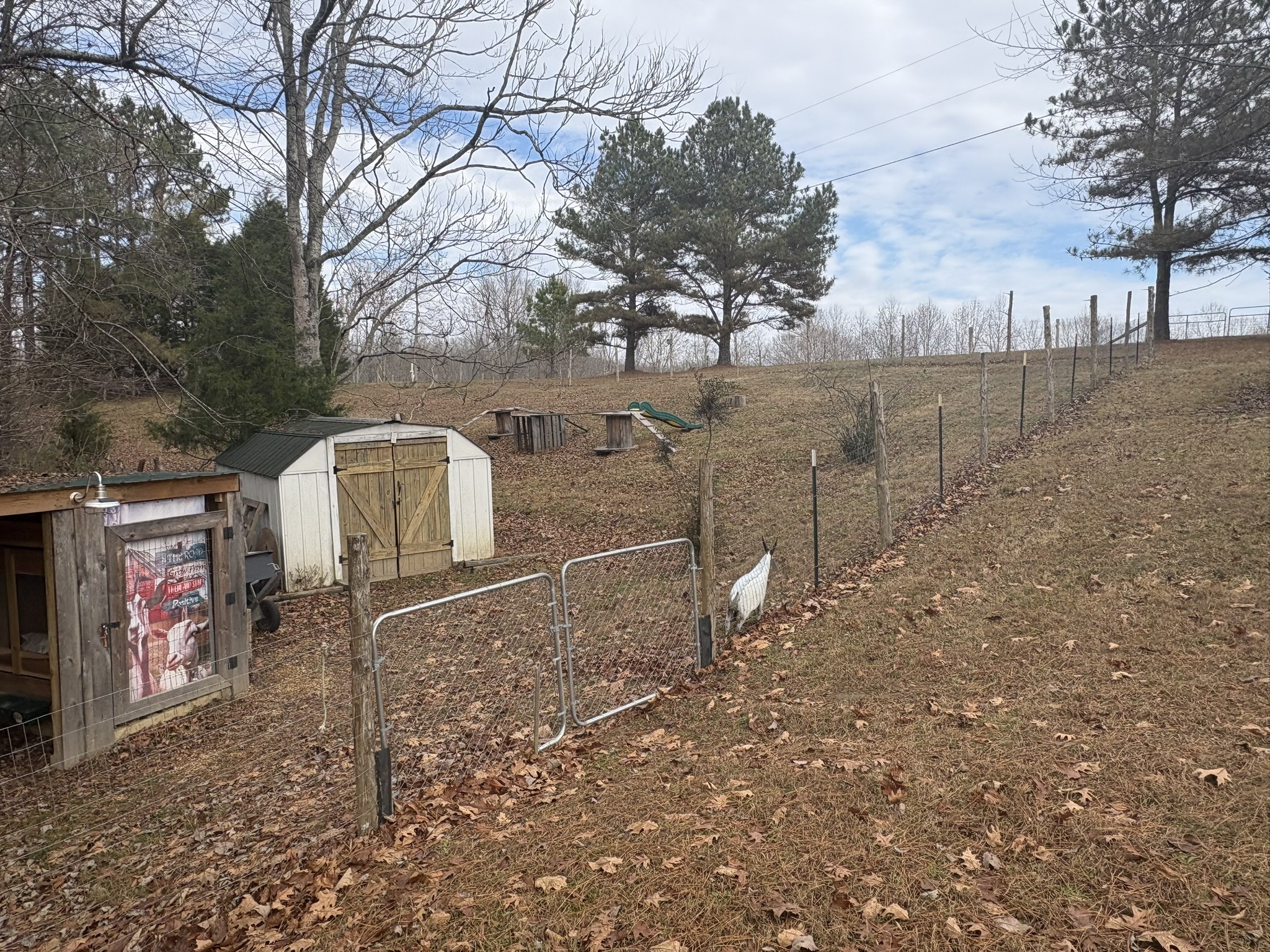 149 Annette Lane Leoma, TN 38468 - Photo 36 of 59