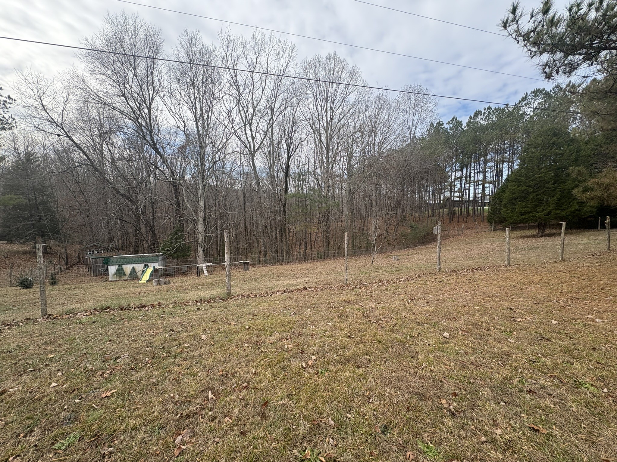 149 Annette Lane Leoma, TN 38468 - Photo 38 of 59