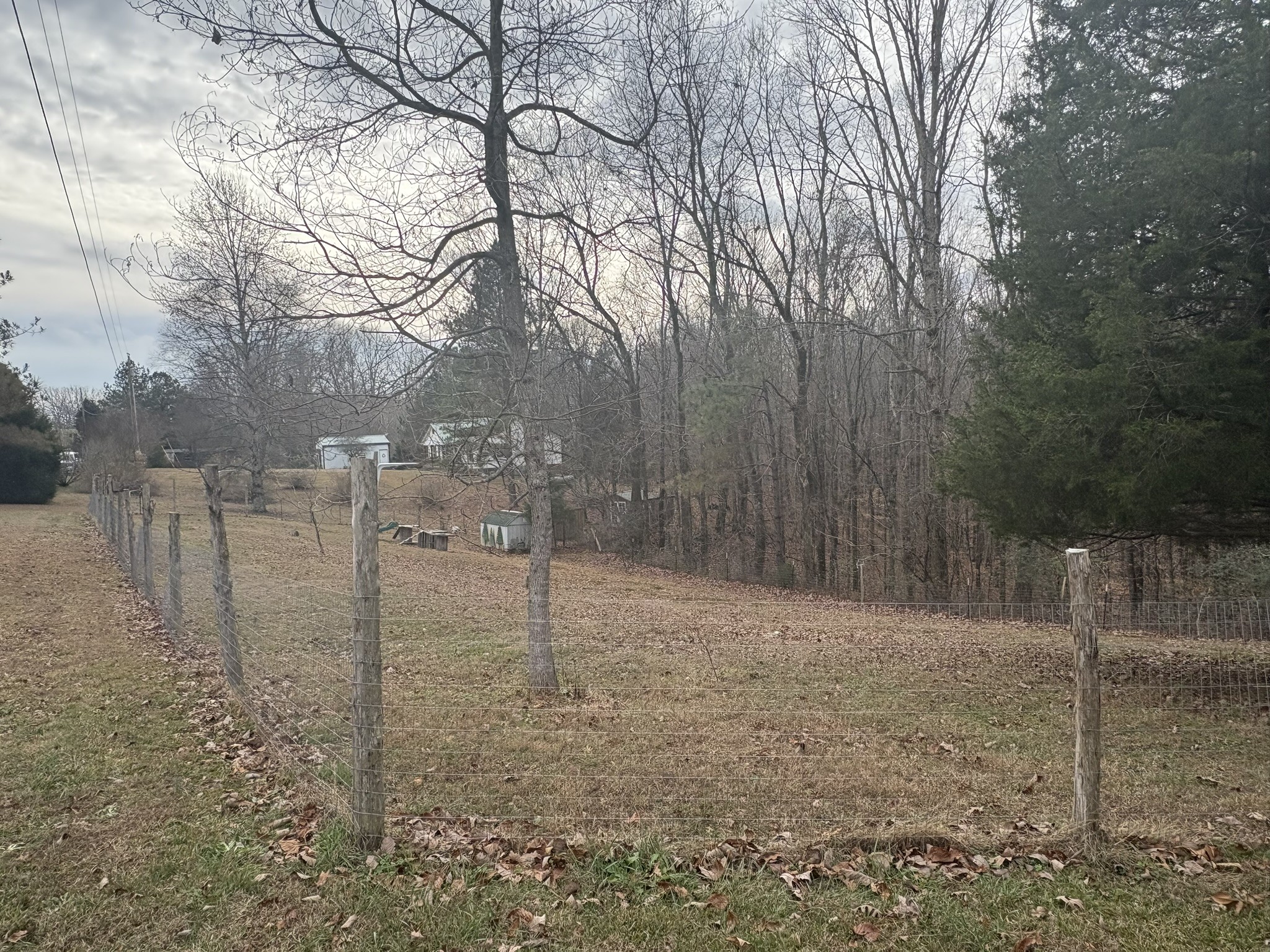 149 Annette Lane Leoma, TN 38468 - Photo 39 of 59