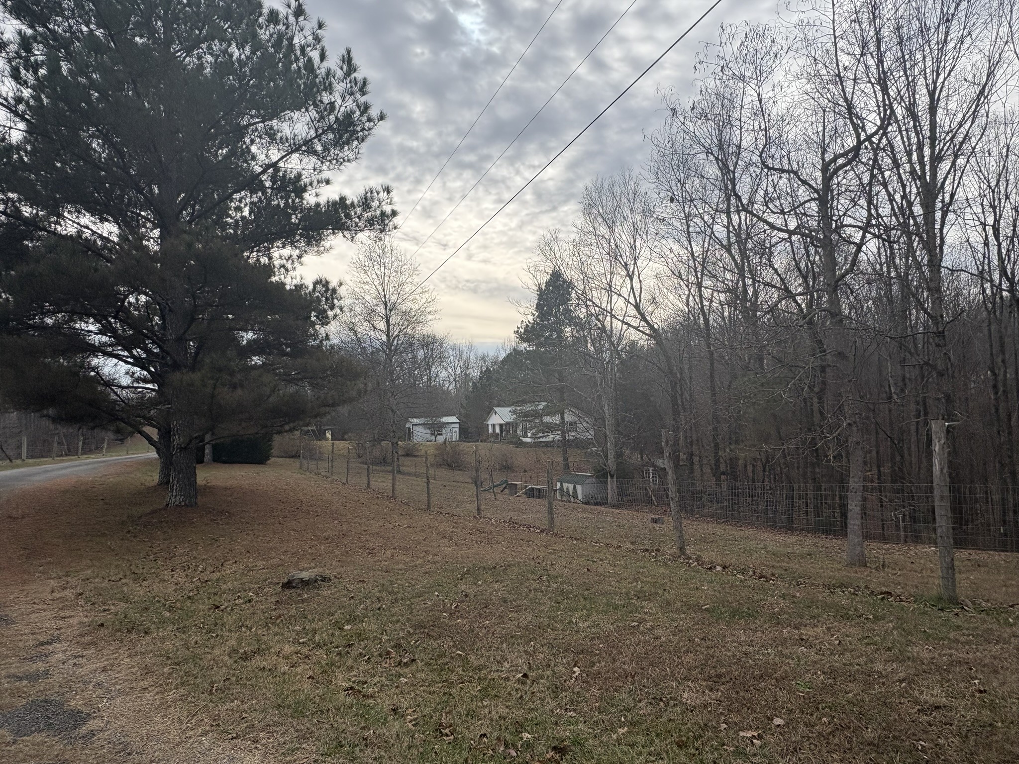 149 Annette Lane Leoma, TN 38468 - Photo 40 of 59