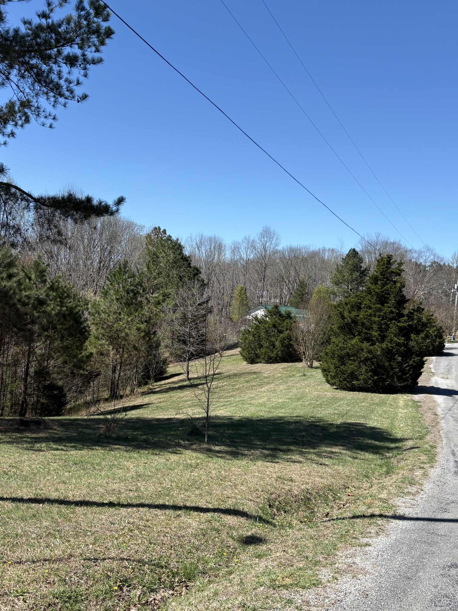 149 Annette Lane Leoma, TN 38468 - Photo 43 of 59