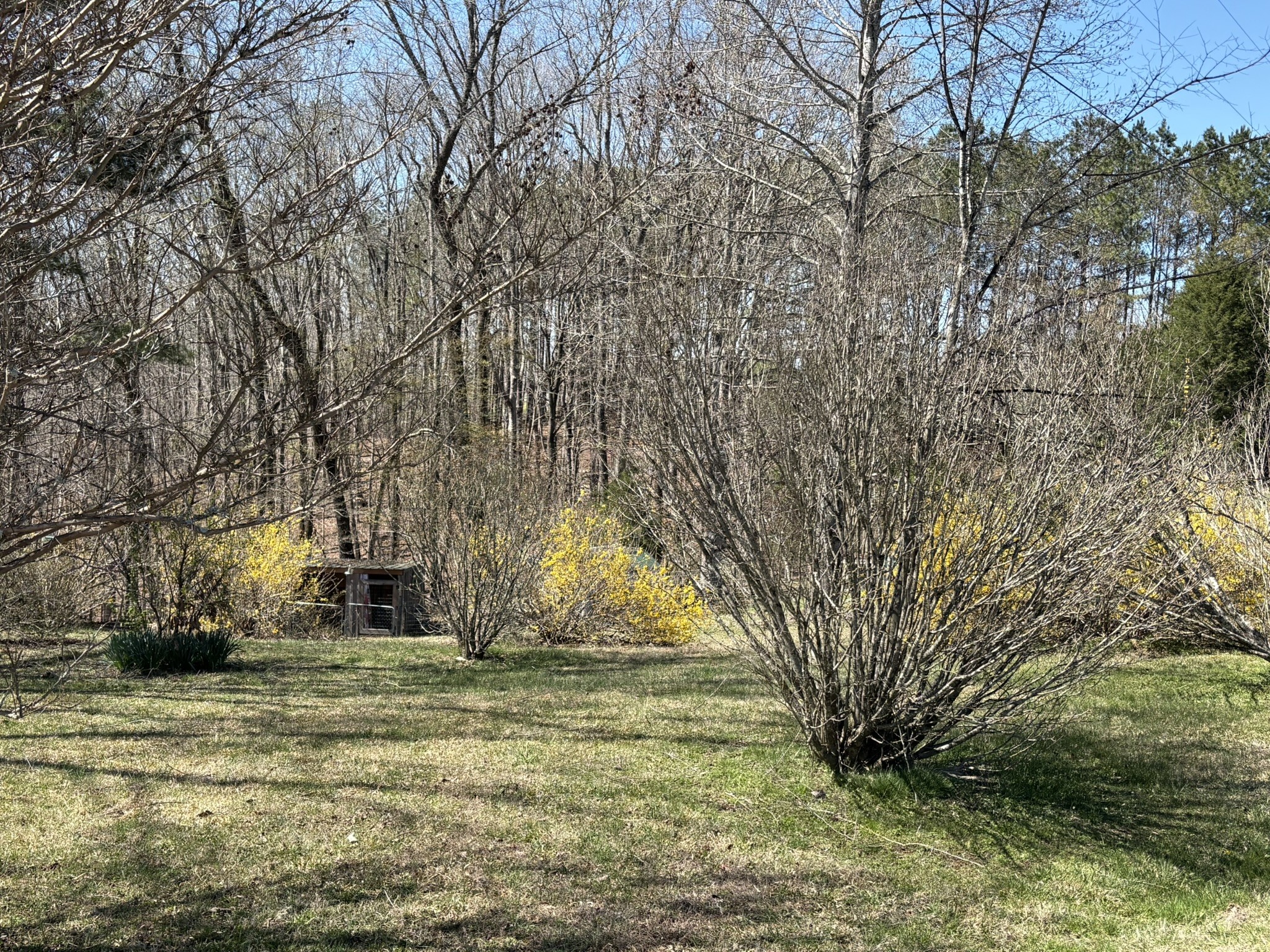 149 Annette Lane Leoma, TN 38468 - Photo 47 of 59