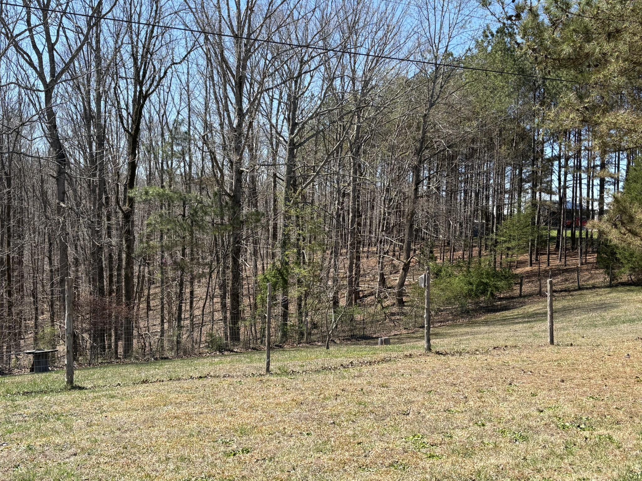 149 Annette Lane Leoma, TN 38468 - Photo 49 of 59