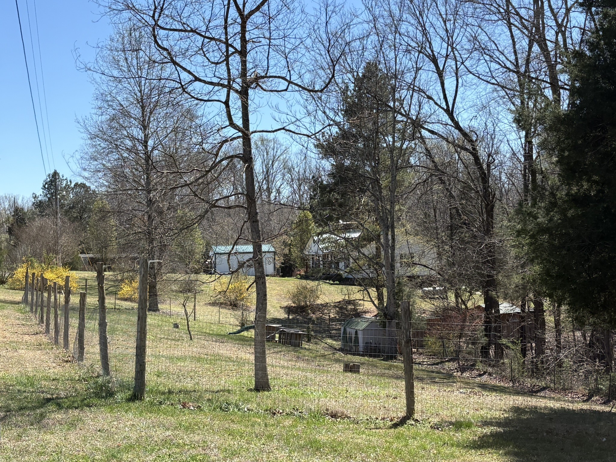 149 Annette Lane Leoma, TN 38468 - Photo 50 of 59