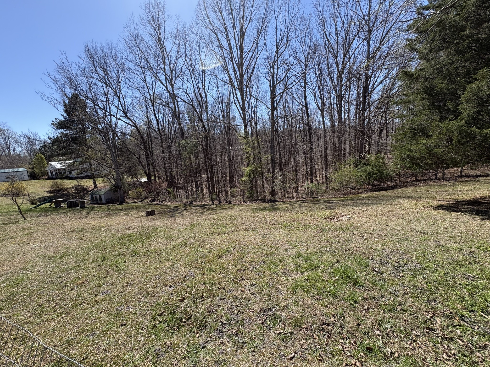 149 Annette Lane Leoma, TN 38468 - Photo 51 of 59