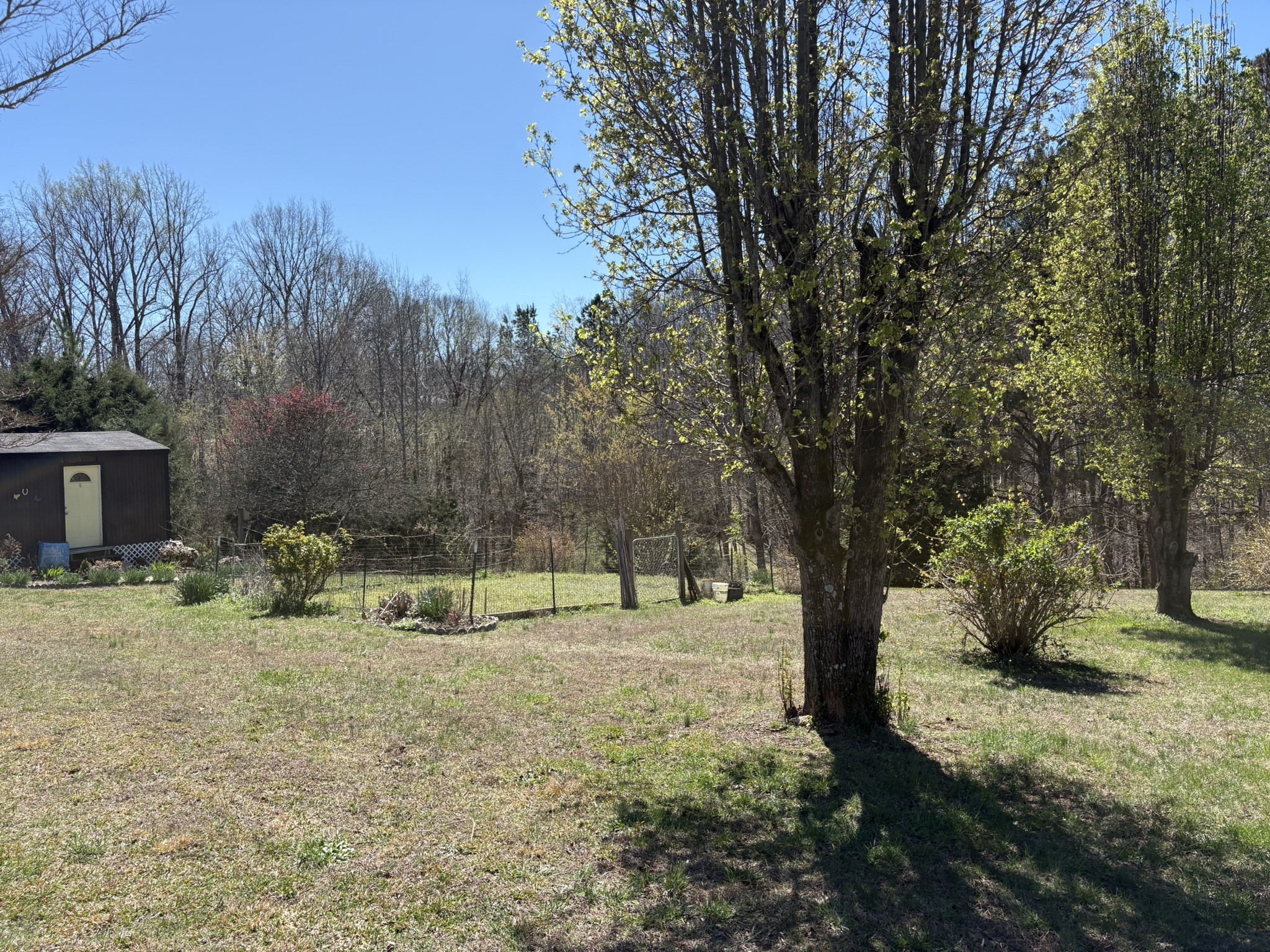 149 Annette Lane Leoma, TN 38468 - Photo 54 of 59