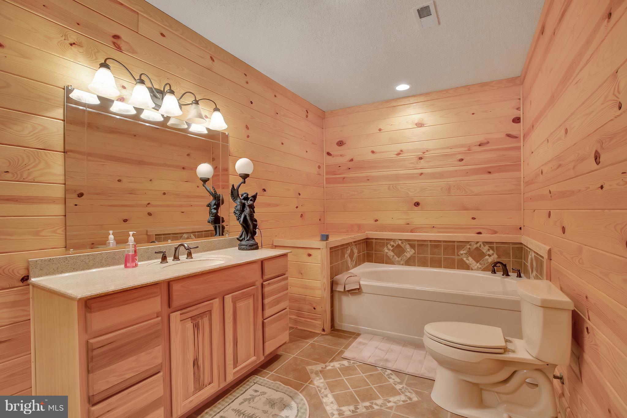 14311 Crawleys Dam Road Goldvein, VA 22720 - Photo 22 of 30 Separate Soaking Tub in Guest Room Retreat