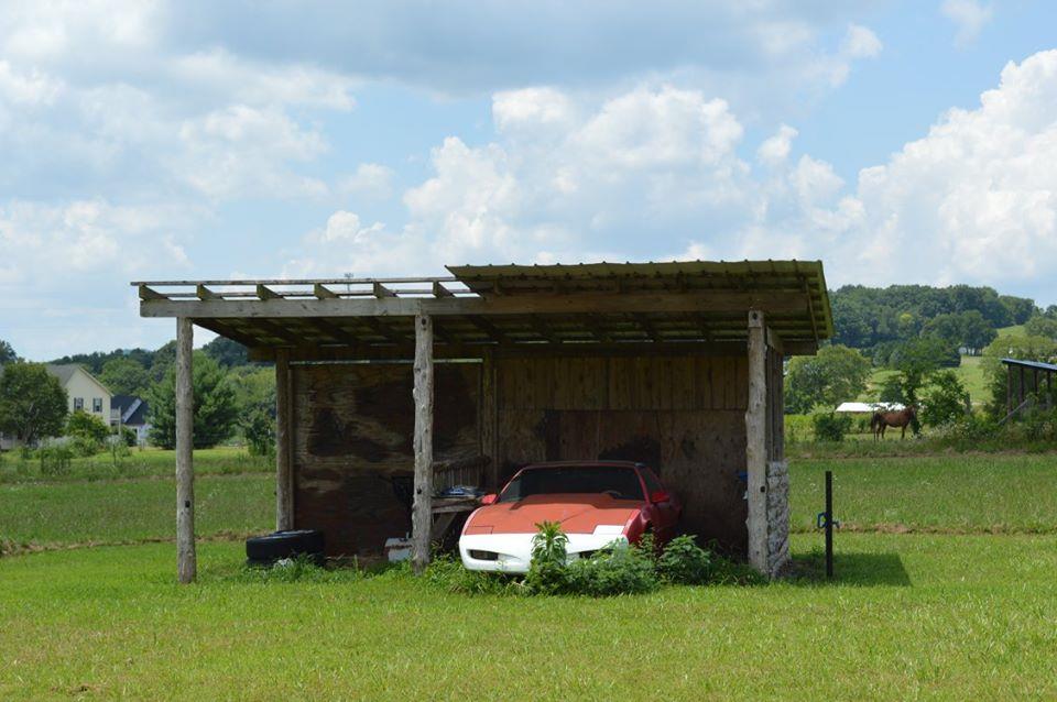 866 Beach Bottom Road Watertown, TN 37184 - Photo 4 of 13 Gallery Image 4