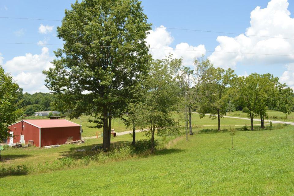 866 Beach Bottom Road Watertown, TN 37184 - Photo 8 of 13 Gallery Image 8