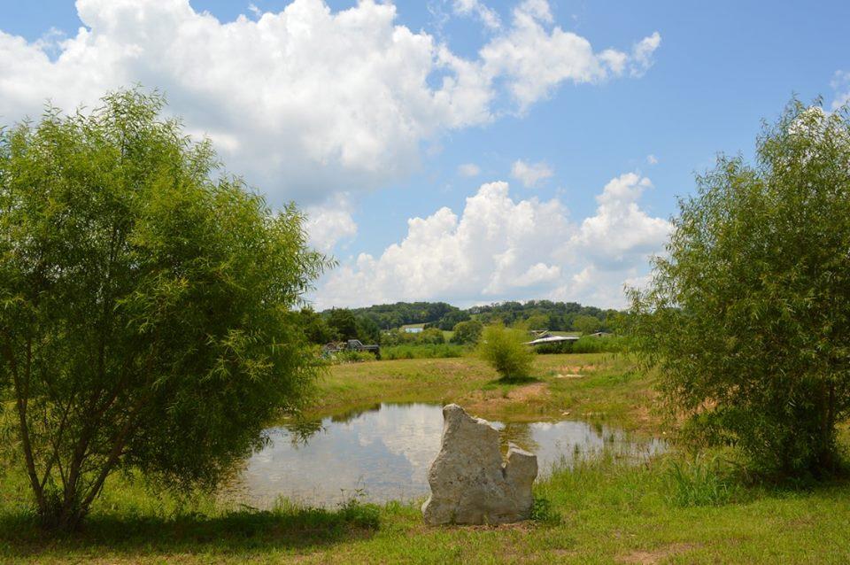 866 Beach Bottom Road Watertown, TN 37184 - Photo 9 of 13 Gallery Image 9